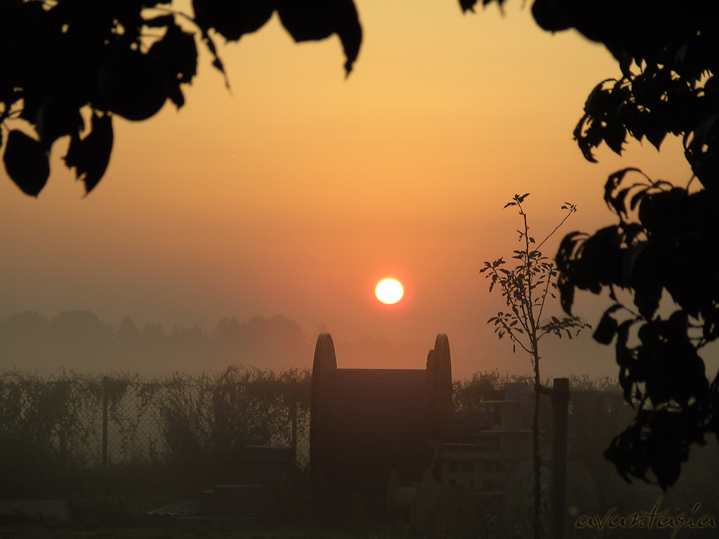 Sonnenaufgang 01